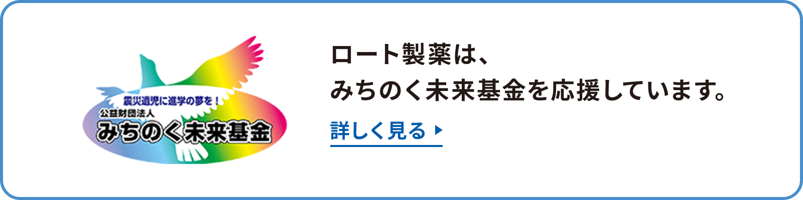 ロート製薬は、みちのく未来基金を応援しています。詳しく見る