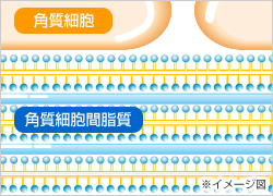 メンソレータム ヘパリペア ロート製薬 商品情報サイト