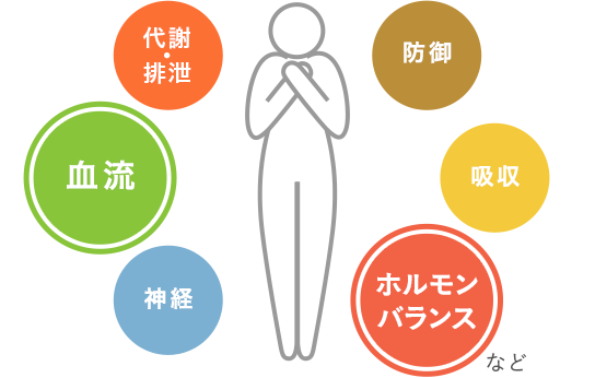 温経湯の働き